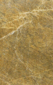 golden fenix singhal