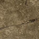 gray william italy singhal