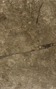 gray william italy singhal