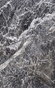 grigio carnico singhal