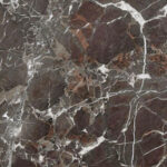 grigio espanol singhal