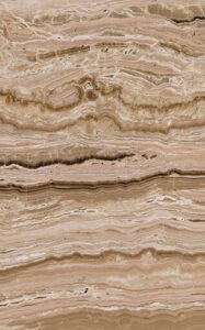 vatican tra onyx singhal