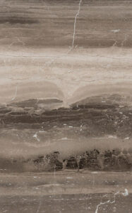 xposed concrete singhal