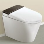 bidspa electronic wc